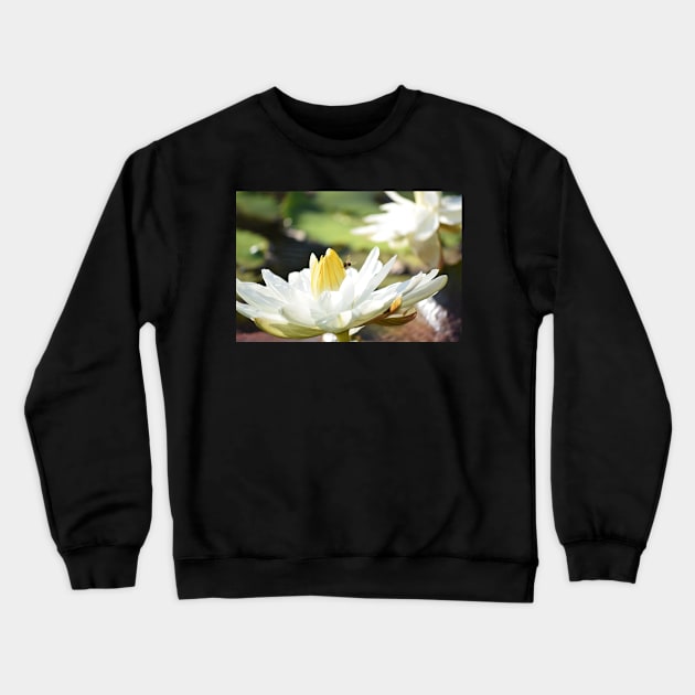 Flower with Bee Crewneck Sweatshirt by sarelitay